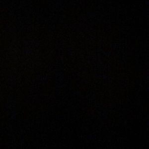 Meet your Posher, Stevie